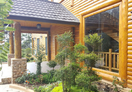 Low-Maintenance Landscaping for Your Log or Timber Home 