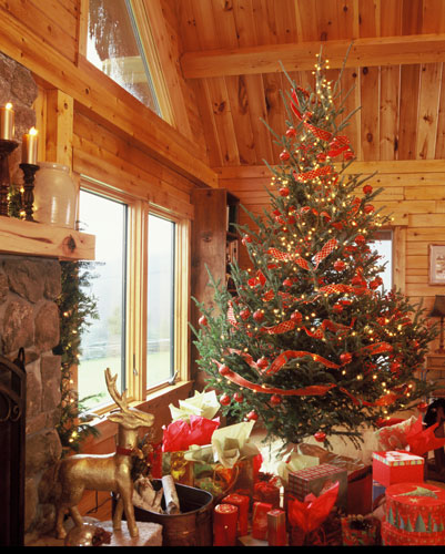 Georgetown log home with Christmas tree