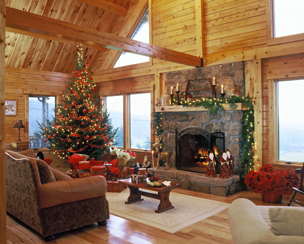 Georgetown log home showing fireplace