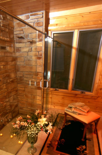 Large glass shower in Ward's East Grand Log Home