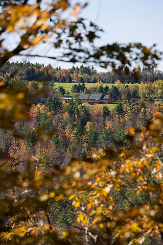 Looking through fall leaves of log home