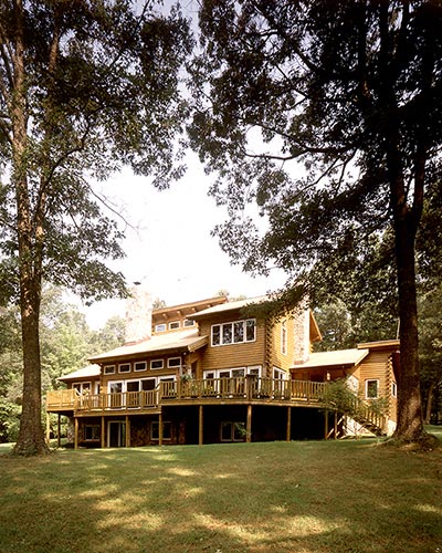 Backyard of log home with pine trees